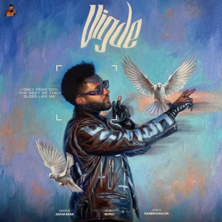 VIGDE Zafar Brar