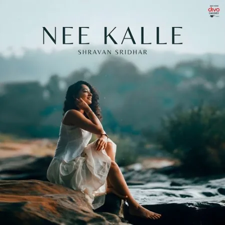 Nee Kalle Krishna Tejasvi